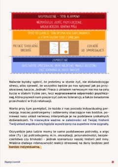 Strona 20 e-booka Napięciownik przedstawiająca schemat stanów układu nerwowego. Zawiera trzy strefy: czerwone nadpobudzenie, pomarańczowe okno tolerancji z rysunkiem otwartego okna i niebieskie zamrożenie.