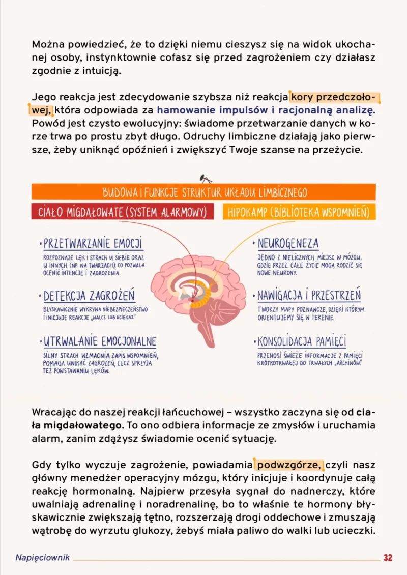 Strona 32 e-booka Napięciownik ze schematem budowy ludzkiego mózgu. Wyszczególniono i opisano funkcje układu limbicznego, ze szczególnym uwzględnieniem ciała migdałowatego i hipokampa.